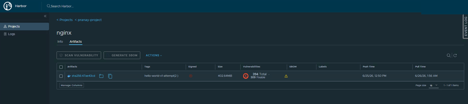 The nginx artifact showing a size of 402.64 MiB