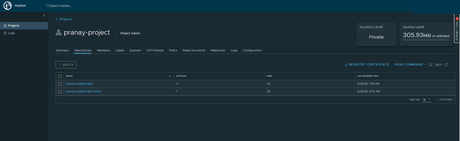 The project now showing 305.93 MiB used and nginx with 0 artifacts