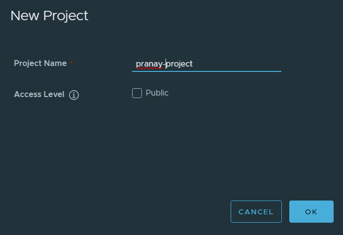 The New Project dialog with a name typed and the Public checkbox unticked